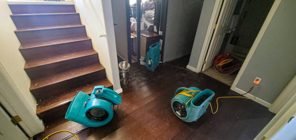Best Ceiling water damage repair  in Mustang Ridge, TX