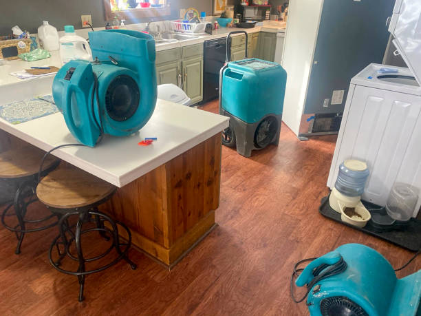 Best Emergency water damage restoration  in Mustang Ridge, TX