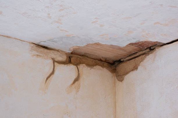 Best Water damage restoration mold remediation  in Mustang Ridge, TX