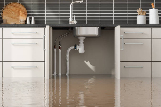 Best Fire Damage Restoration  in Mustang Ridge, TX