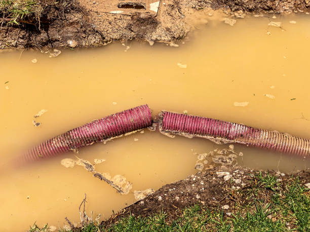 Best 24/7 water damage repair  in Mustang Ridge, TX